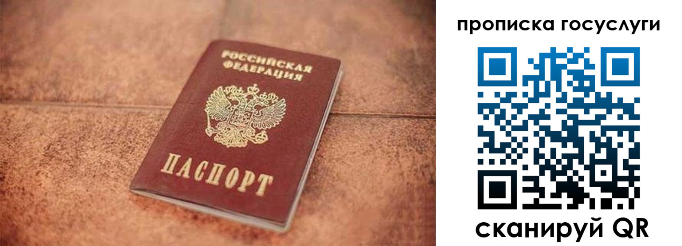 прописка законно в Углегорске